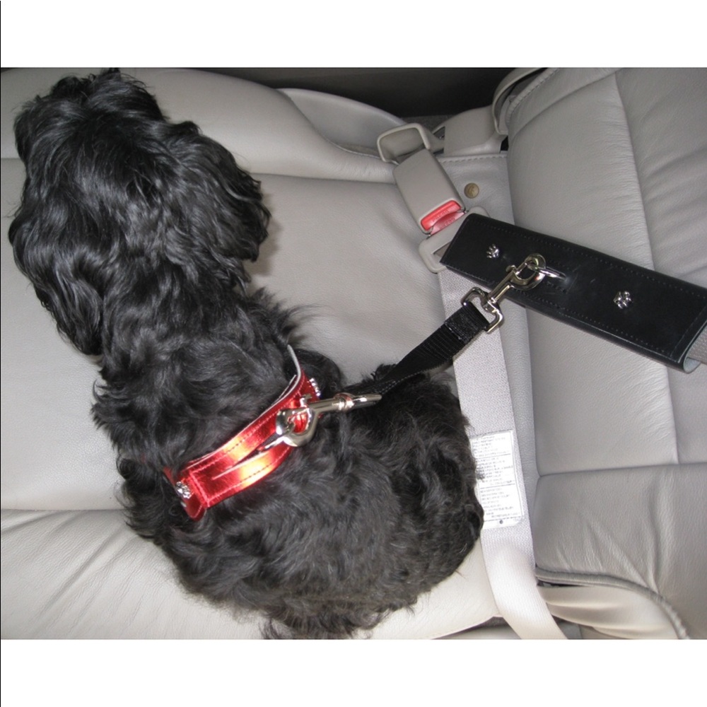 PawRider Pet Seatbelt Adapter
